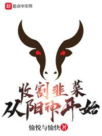 收割韭菜从阳神开始